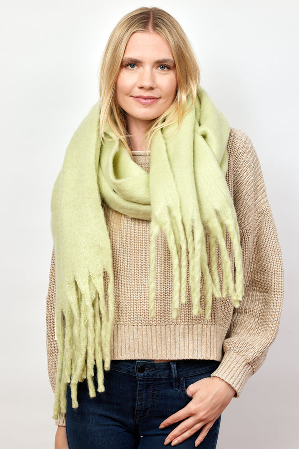 Model wearing mint green solid scarf with fringe